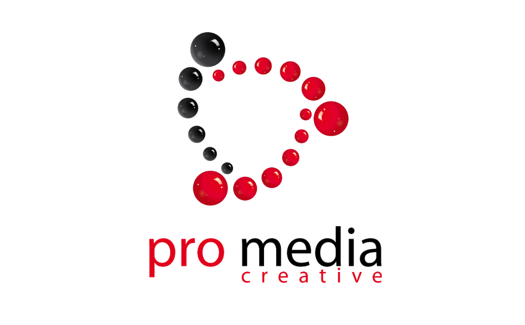 AIESEC organizacija u saradnji sa kompanijom Pro Media